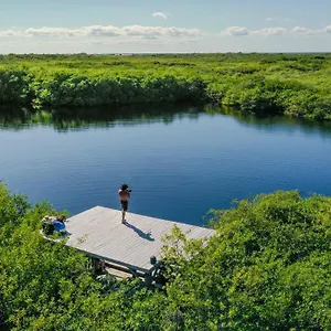 Cormoran & Cenote Hotel